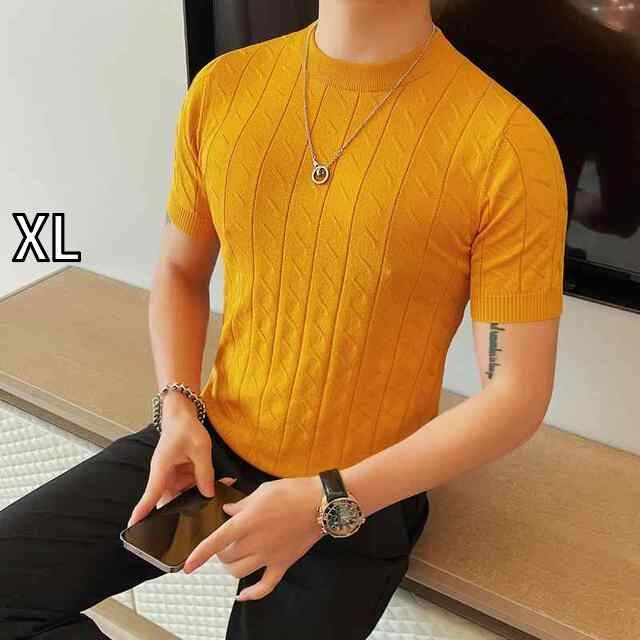 人気SALE，2026 [XL]春 コーデ メンズ  服 シンプル ファッション オシャレ 大人 かっこいい 大きいサイズ ストリート 紳士服  薄手 ニット 半袖 T シャツ ハイエンド スリム ラウンドネック トップス その他