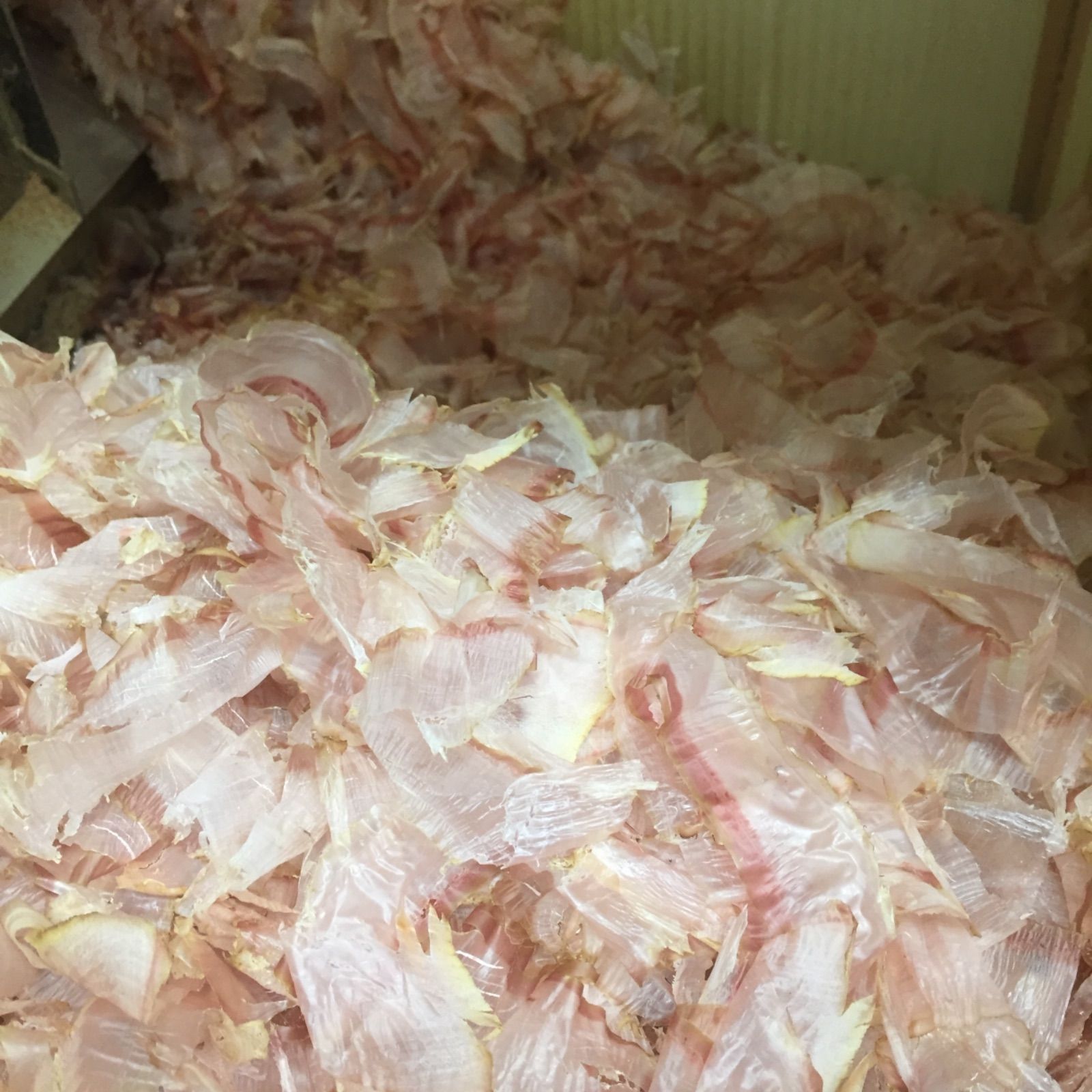 削りたて花かつお100g入り
