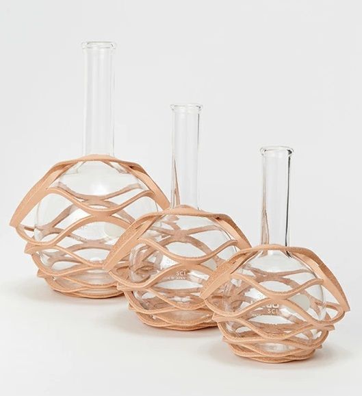 Hender Scheme(エンダースキーマ) science vase(サイエンスベース) 化
