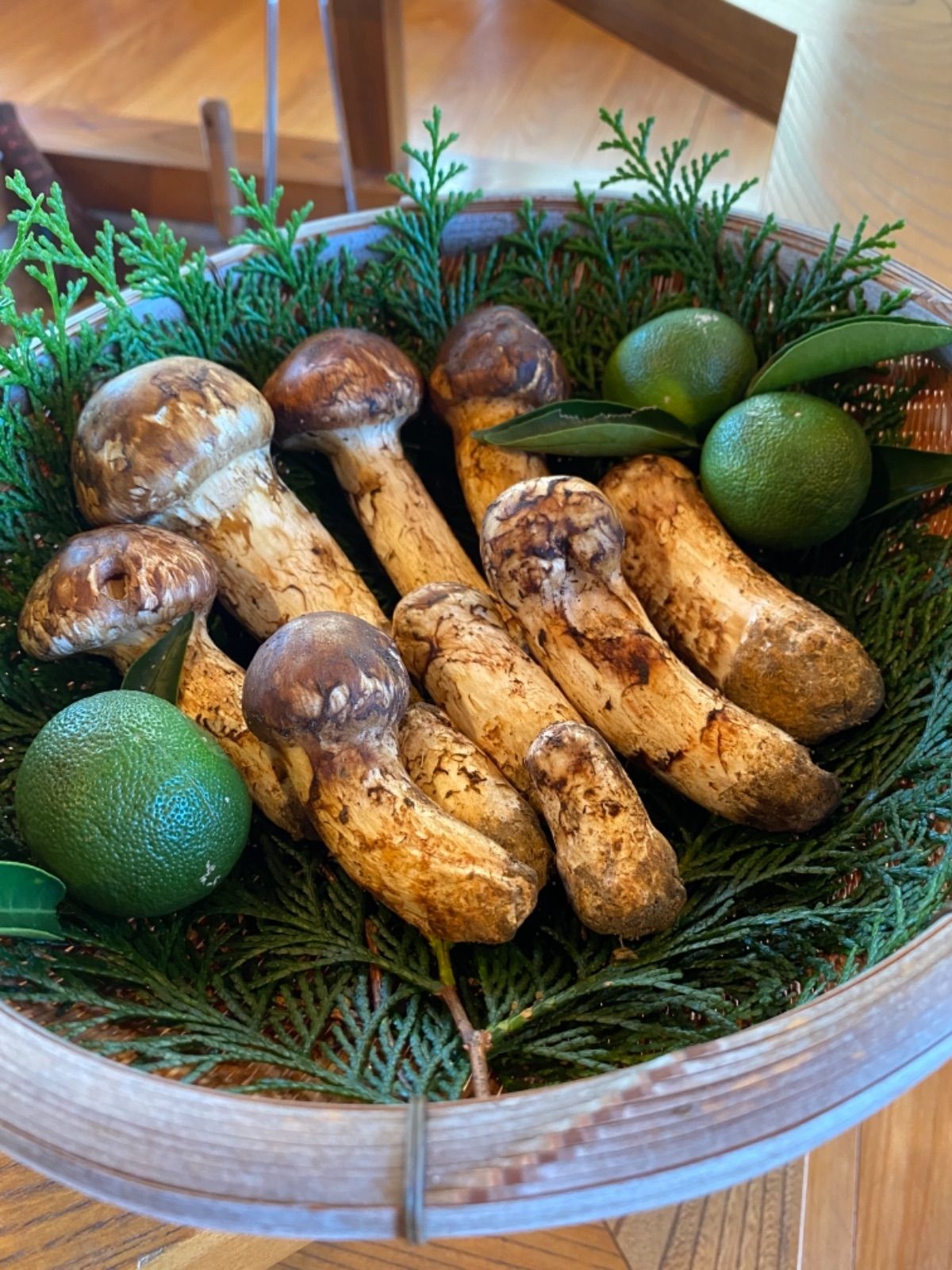 徳島県産松茸売ります！