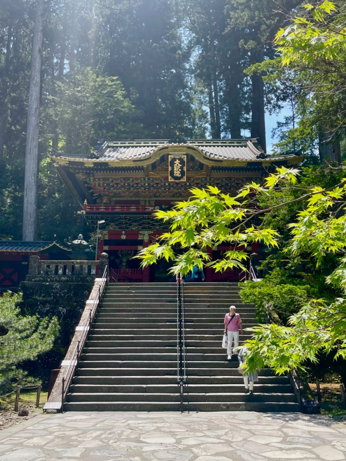 日光山 輪王寺 護摩堂 御朱印帳 ｢大昇竜｣Nikko-san Rinnouji-temple : Gomadou Gosyuincyou｢DAISYOURYU｣