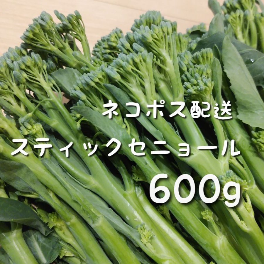 スティックセニョールネコポス５００㌘ - 野菜