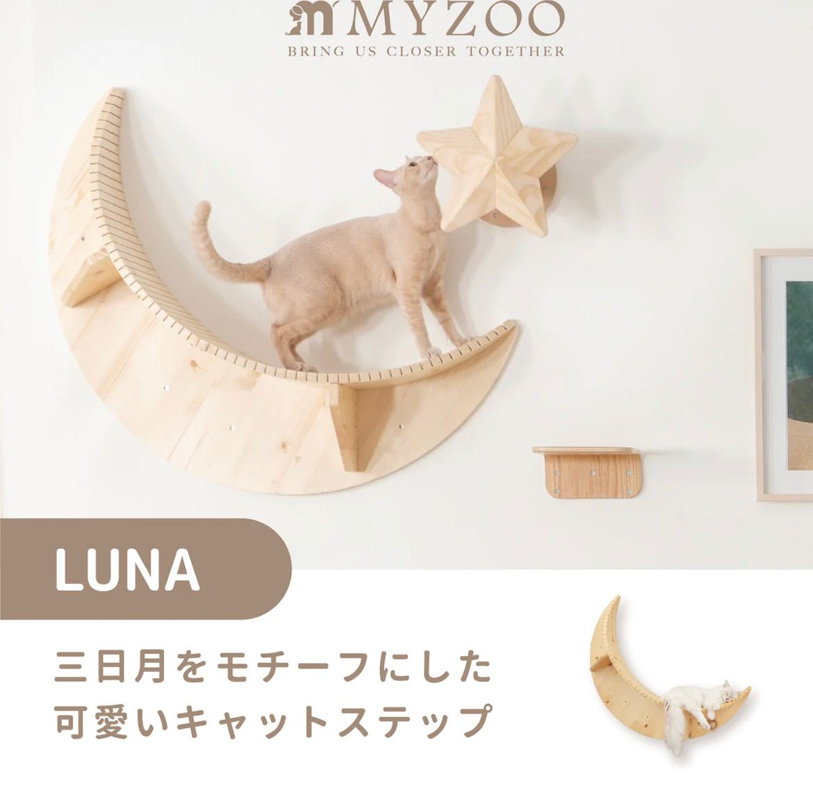 MYZOO マイズー LUNA+STAR セット キャットウォーク 壁 キャット