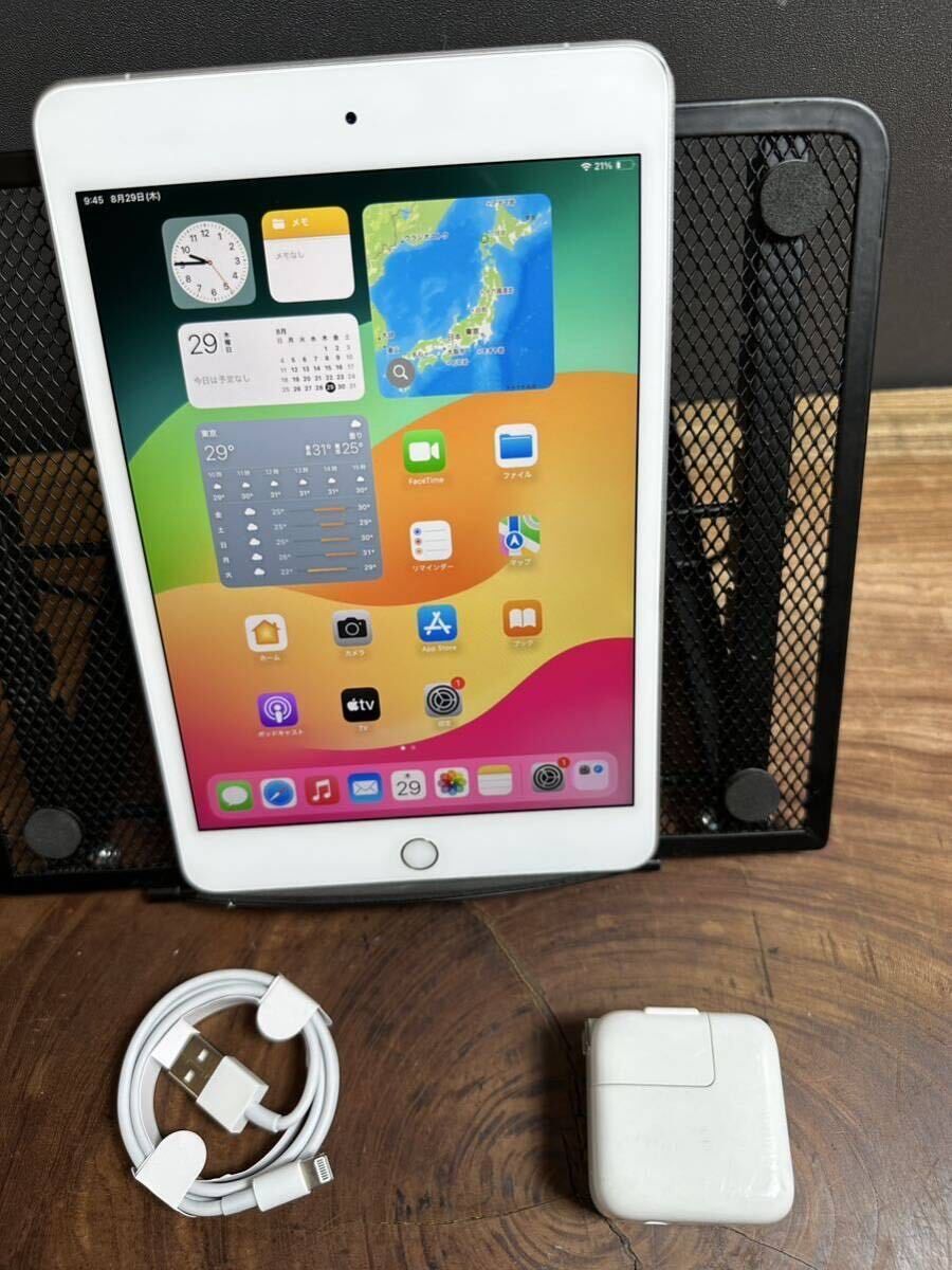 iPad mini 5 256G 残量97% Apple iPad mini 7.9インチ 第5世代 Wi-Fi+Cellular 256GB 2019年春