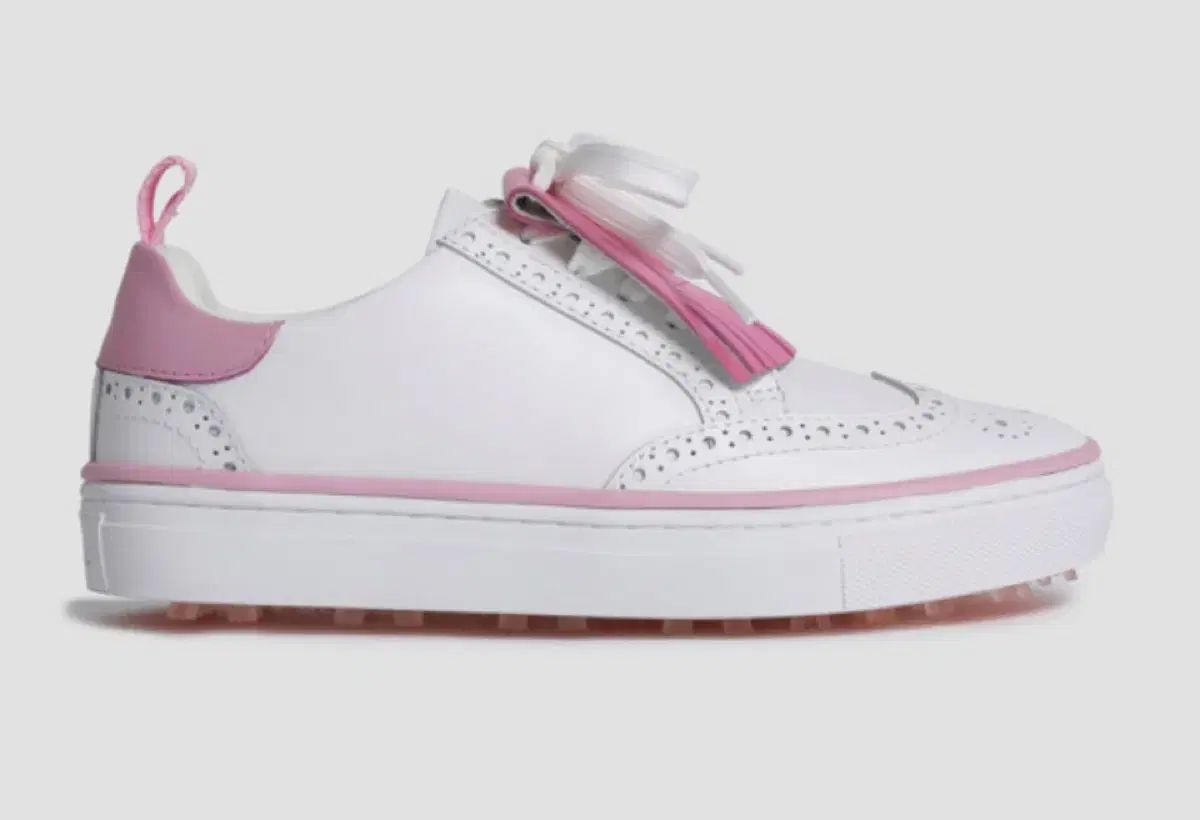 ジーフォア レディース 24.5 【公式通販】