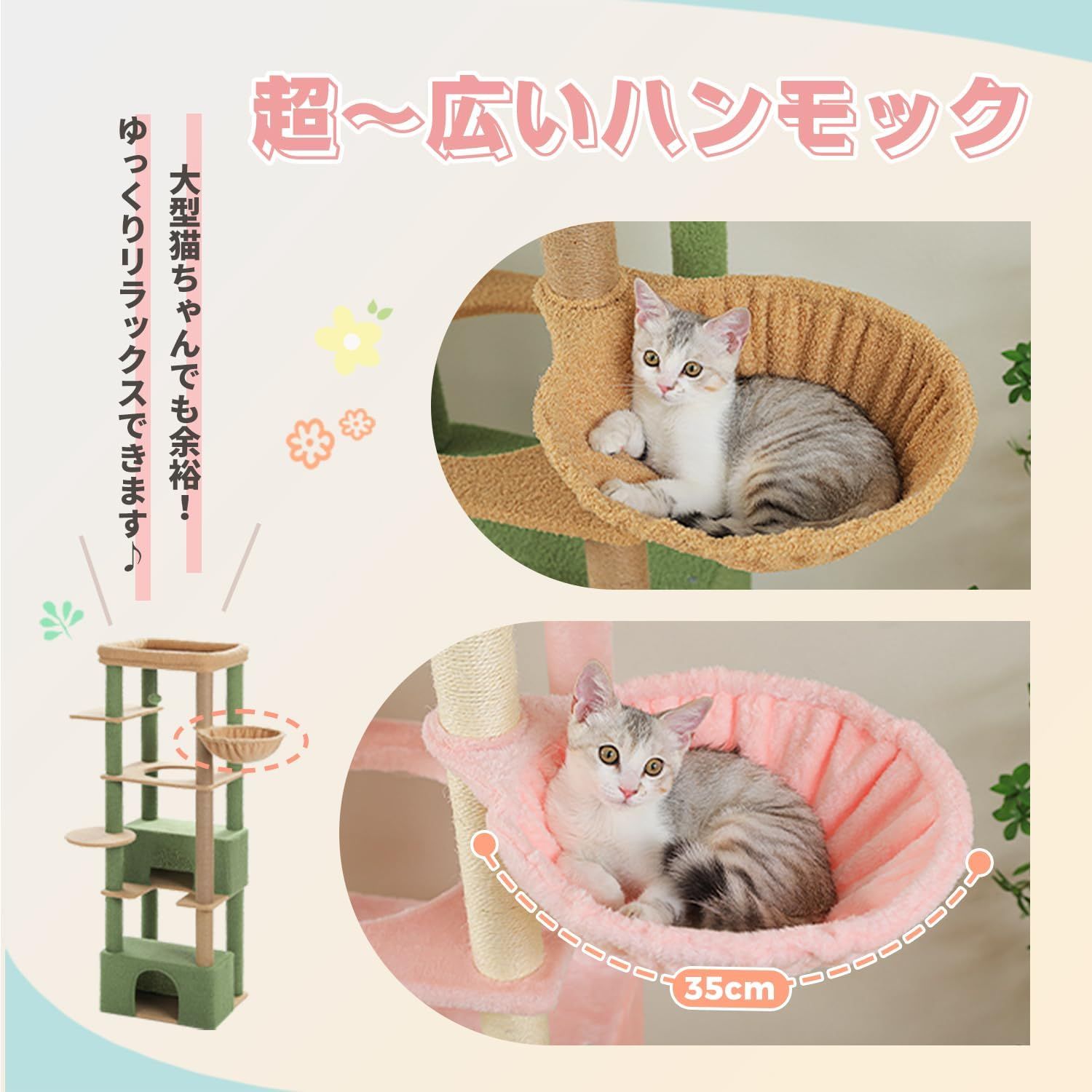 大型猫