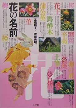 【中古】 花の名前