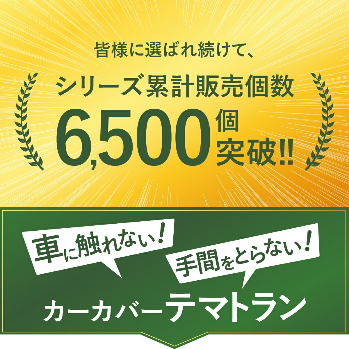 車カバー 側面 起毛テマトラン 1型 補修用 カバーセット 車 カバー ボディーカバー テマカバー 秒 カーポート 車庫 簡単 厚地 厚手 御座る  ラク 触れない カーカバー 車体カバー 日本製 対策 傷 防止 盗難 セダン ワゴン