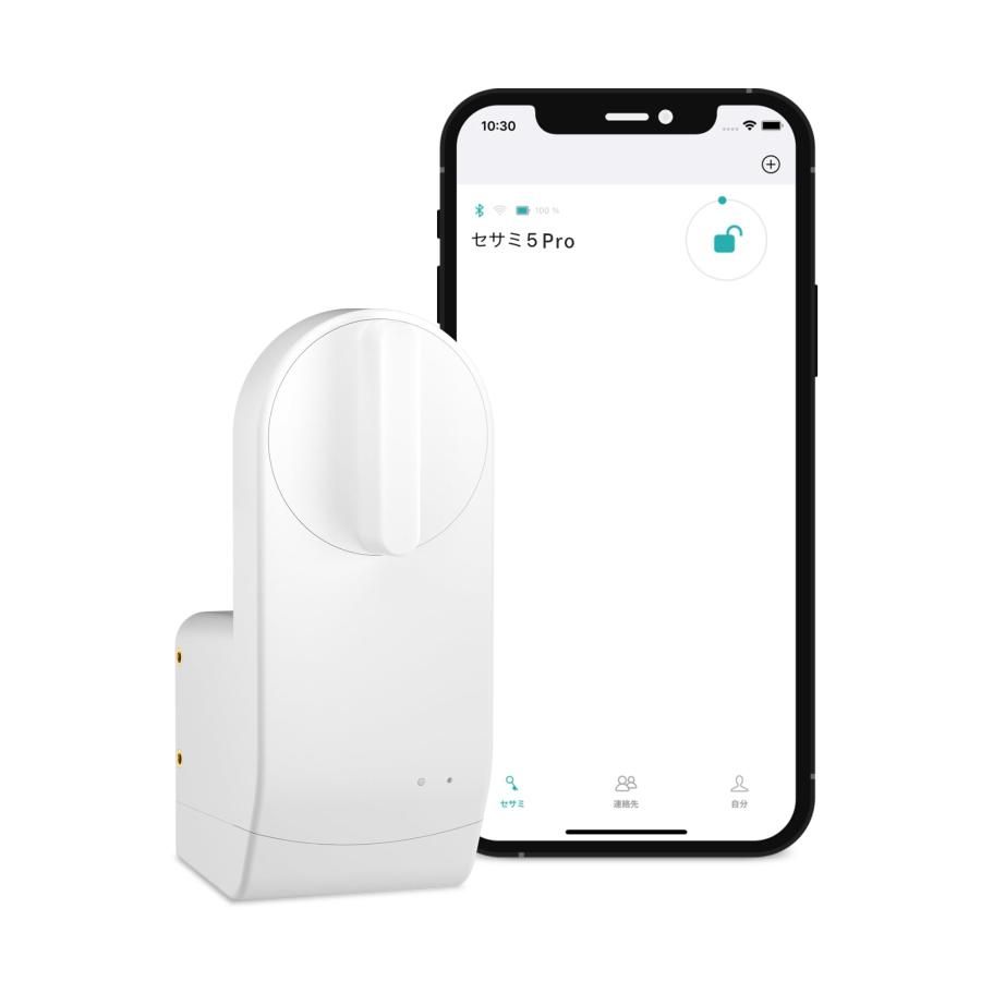 AirPods Pro2 ケース／ケーブル／イヤーピース付き A2698