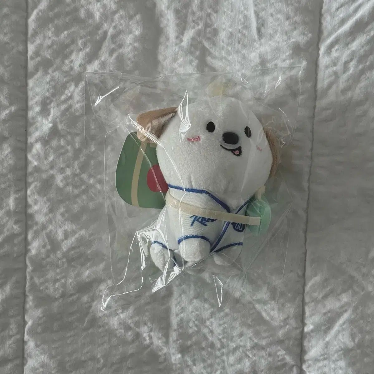 RIIZE PARK ポップアップ DIY Tシャツ 特典 ウォンビン アントン RIIZE