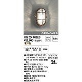 5営業日で発送 ODELIC オーデリック OG254606LDランプ別梱包
