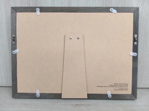 美品】ラグビー ワールドカップ 2019 スペシャルピンズ ピンバッジ