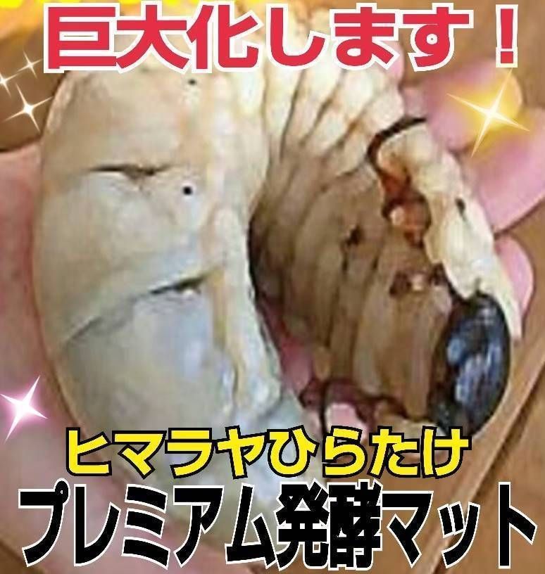 ビックサイズ狙える！プレミアム3次発酵カブトムシマット【50L】特殊