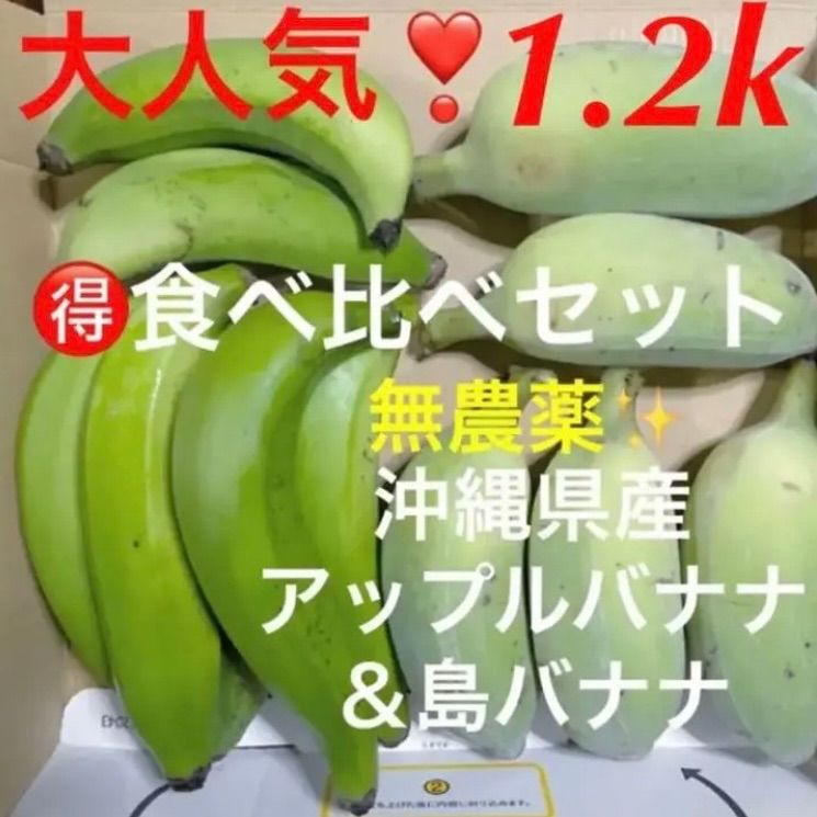 SALE／83%OFF】 沖縄本島北部やんばる産 島バナナ アップルバナナ バナナセット