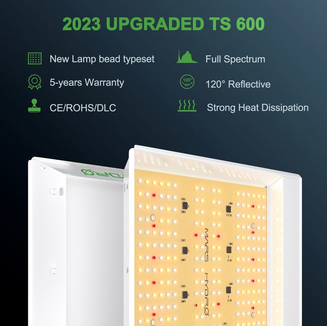 TS-600 正規代理保証付