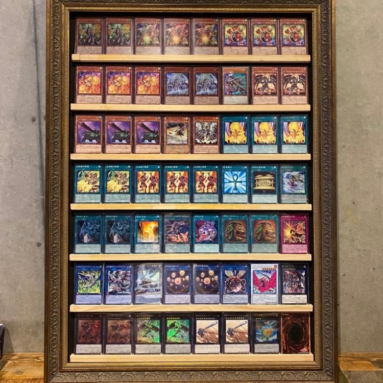 遊戯王 征竜 本格構築済み デッキ アームド レッドローズドラゴン 大会構築 遊戯王 征竜 本格構築済み デッキ アームド レッドローズ