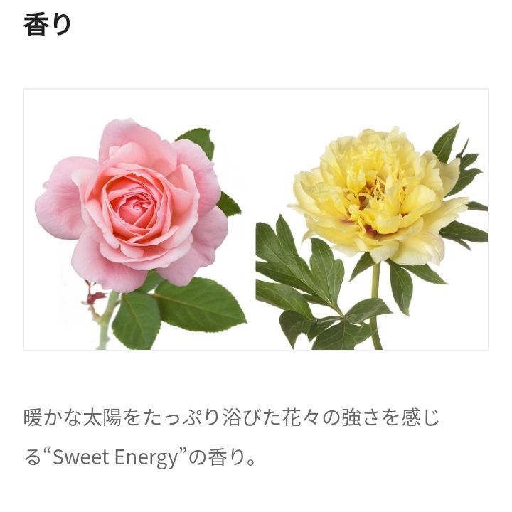 MILBON ミルボン