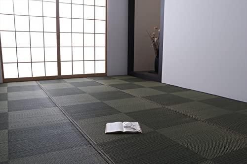イケヒコ い草 ラグ カーペット マット ノア 約 江戸間4.5畳 ブラック ナチュラル シンプル モダン 市