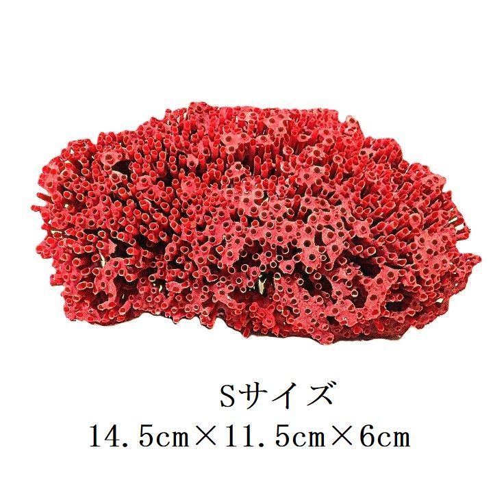 サンゴ 置物 珊瑚 サンゴ礁 パイプオルガン珊瑚 魚用品 売れ筋