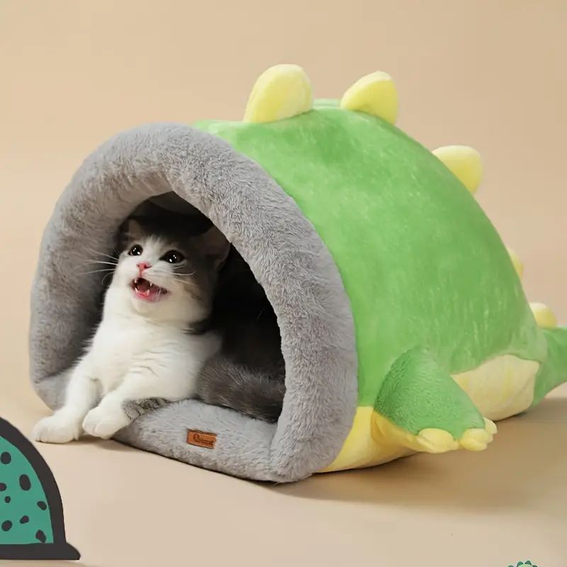 中型猫