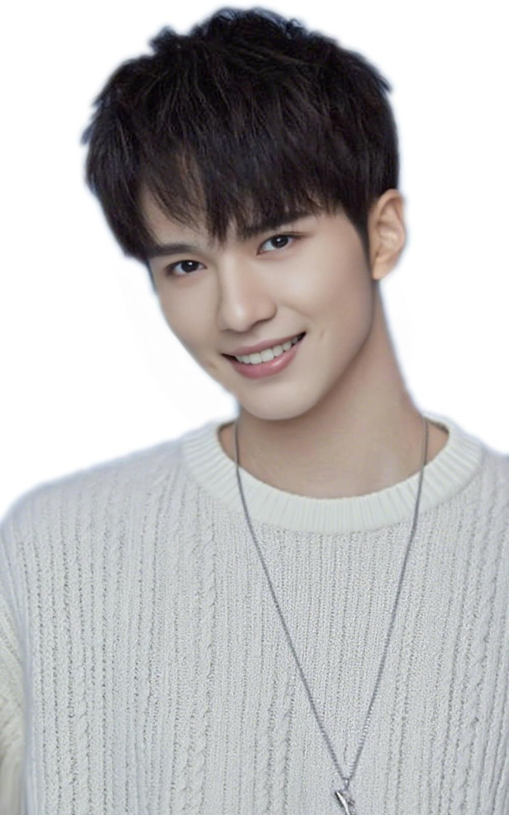 人毛100%ウィッグ総手植えつむじ地肌✨中島健人❣️さら艶髪！美人