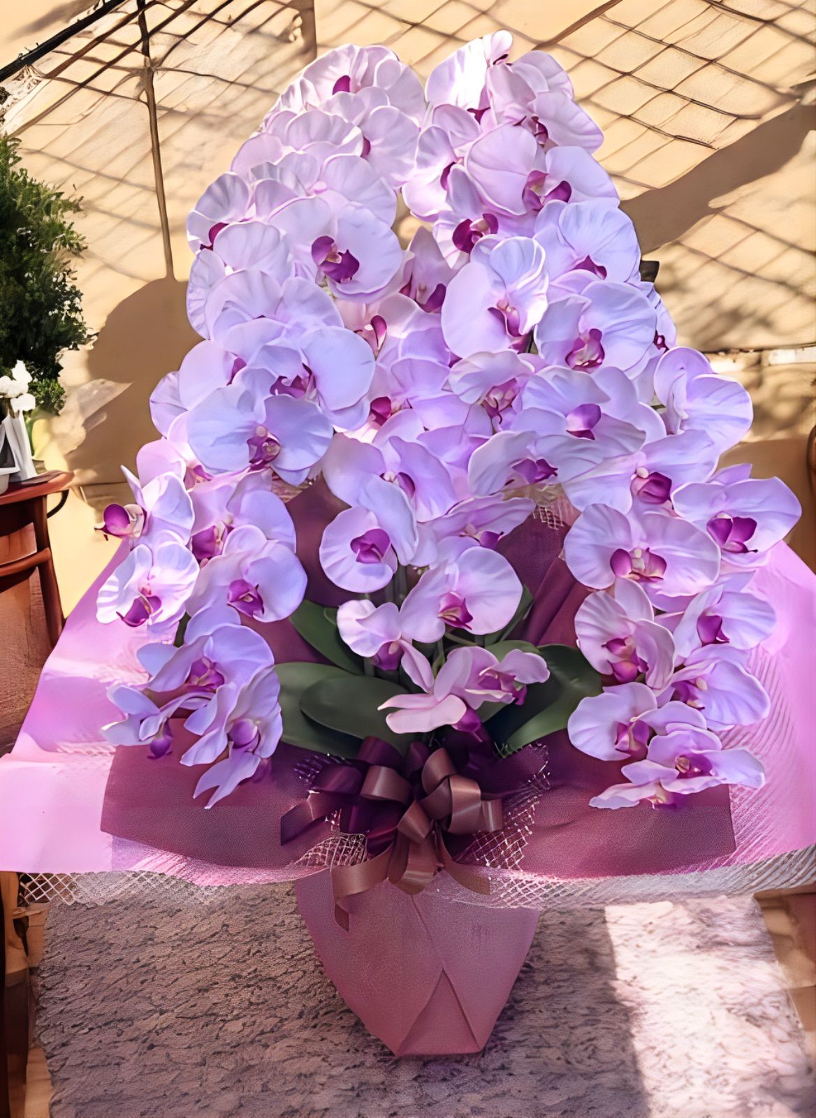 光触媒　人工観葉植物　ウォールグリーン　フェイクグリーン　胡蝶蘭7845@ad 光触媒 人工観葉植物 ウォールグリーン フェイクグリーン 胡蝶蘭