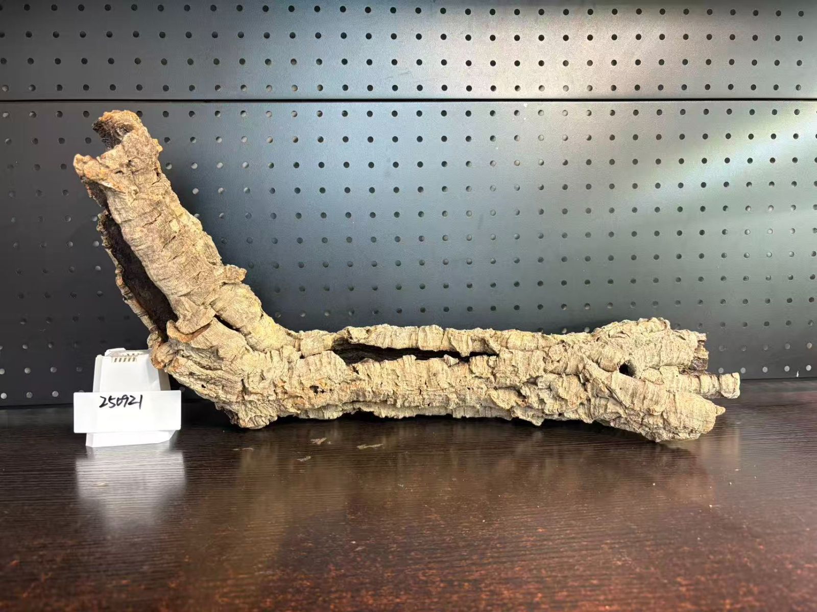 250921 ポルトガル産 キャノンコルク コルク樹皮 コルク板 バージンコルク チランジア ビカクシダ 着生ラン 両生類 爬虫類 WWW_GEBZETESISAT_COM_TR