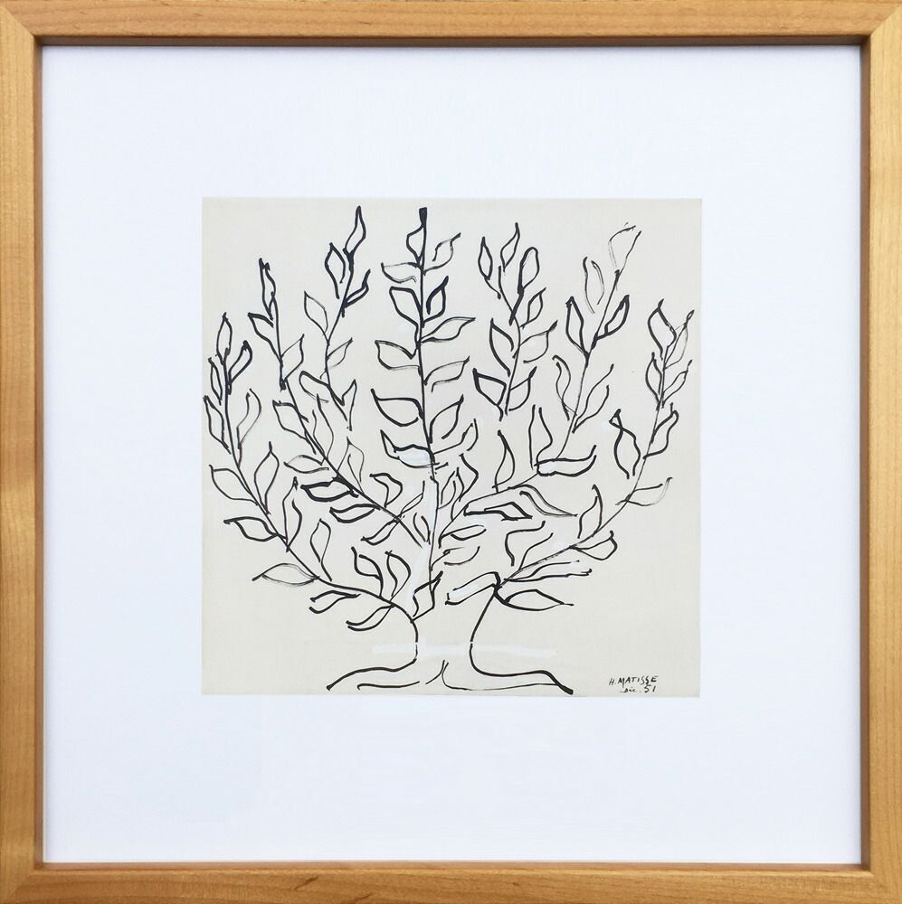 金運大昇鯉」佐藤晋伍色紙絵 販売