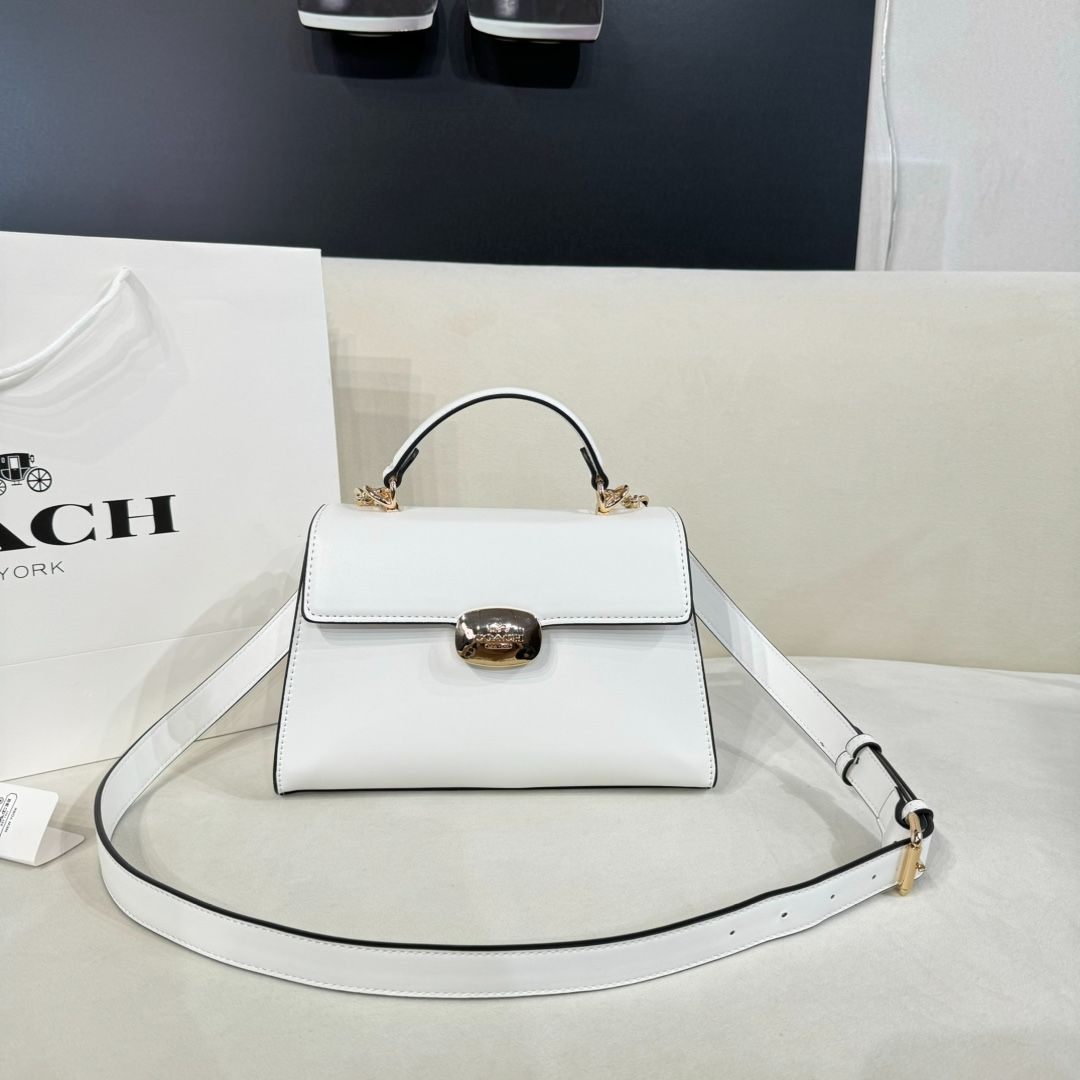今日 COACH コーチ 斜め掛け 手提げバッグ 価格 -WTO輸入3-WTO輸入3