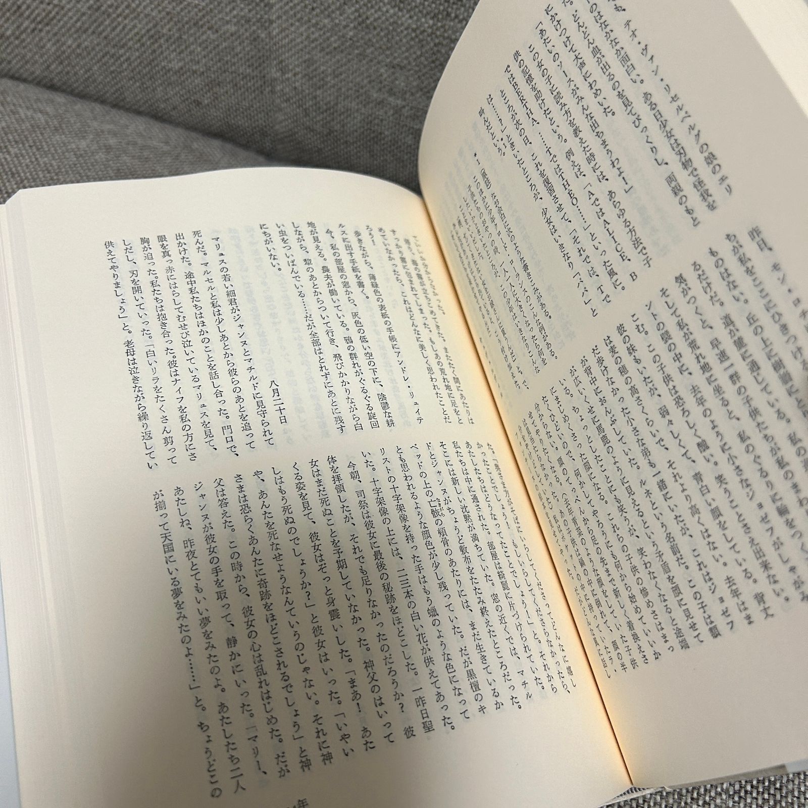 中古本】 ジッドの日記1 1889〜1911 ジッド 新庄嘉章 日本図書