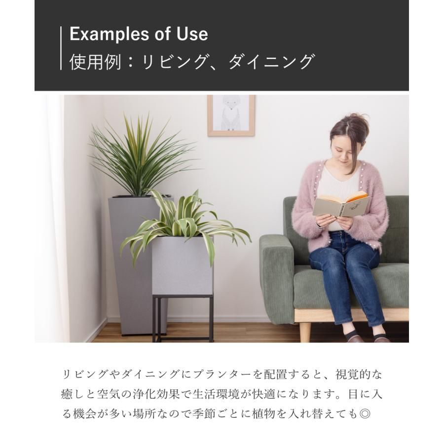 観葉植物