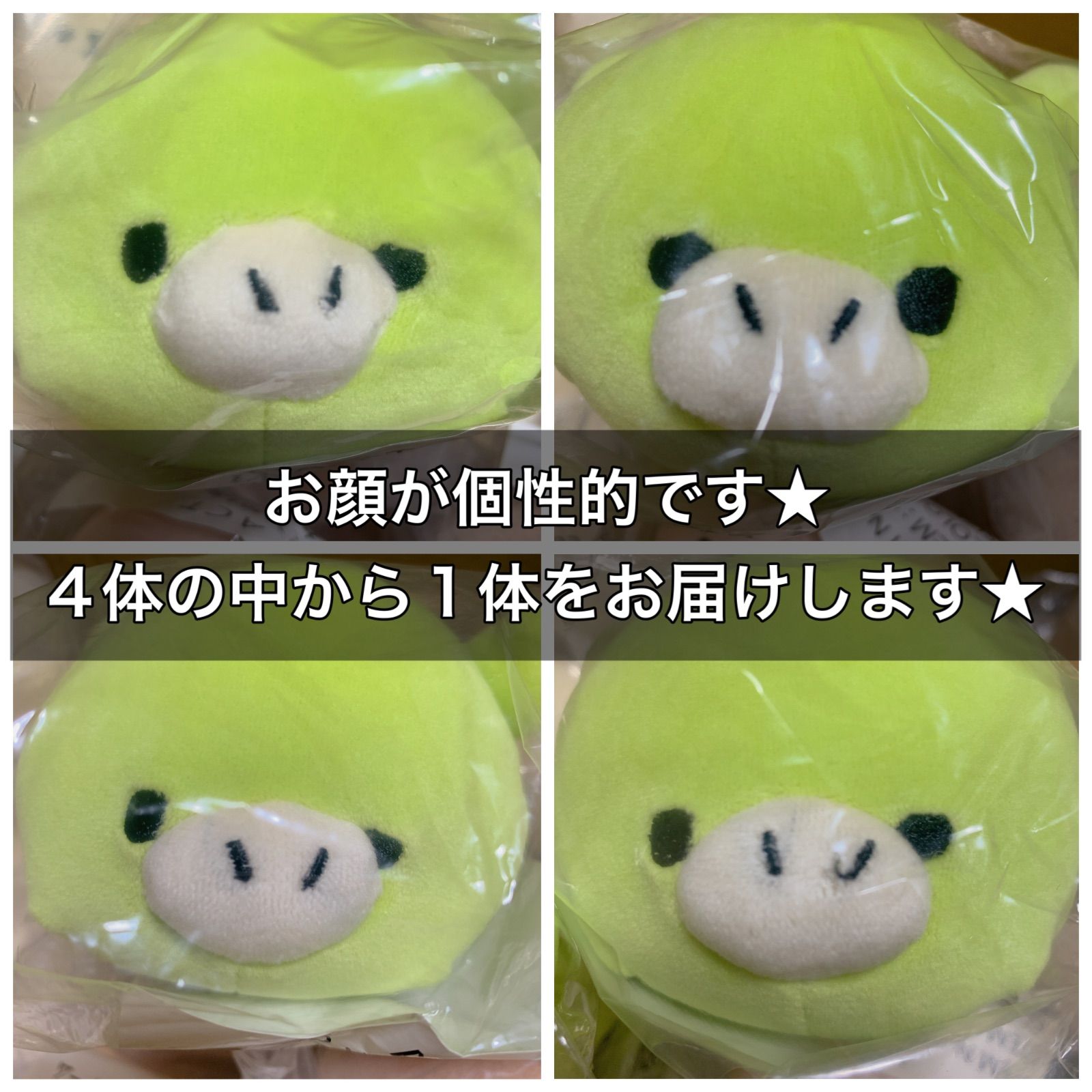 テノリマスコット 辰年 干支 絵との置物 ぬいぐるみ もふもフレンズ