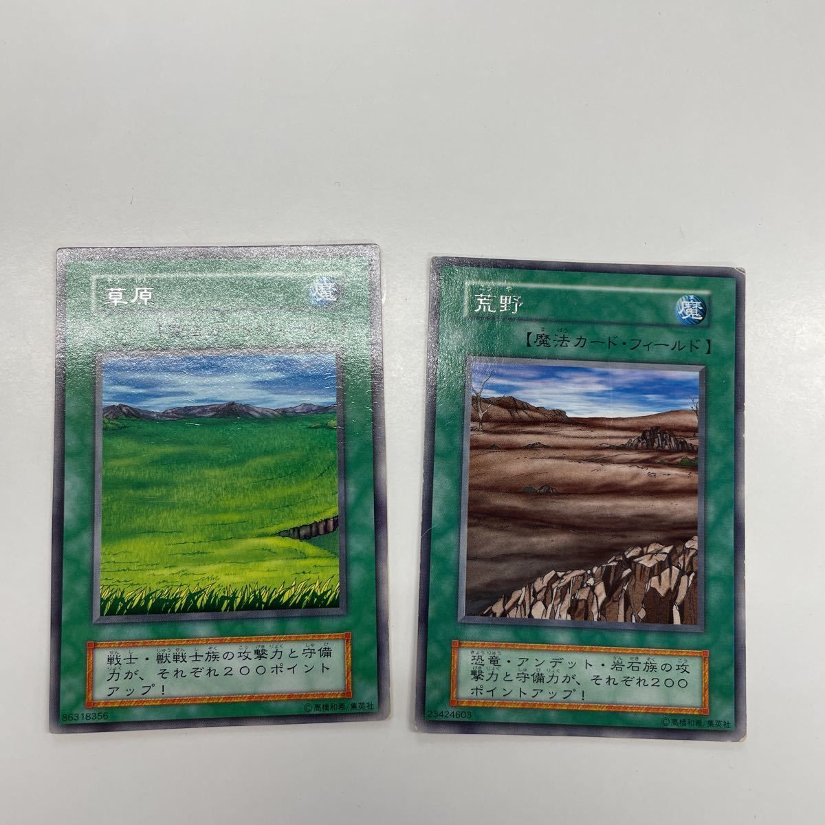め15 41 遊戯王 カード トーディングカード 初期 フィールド魔法