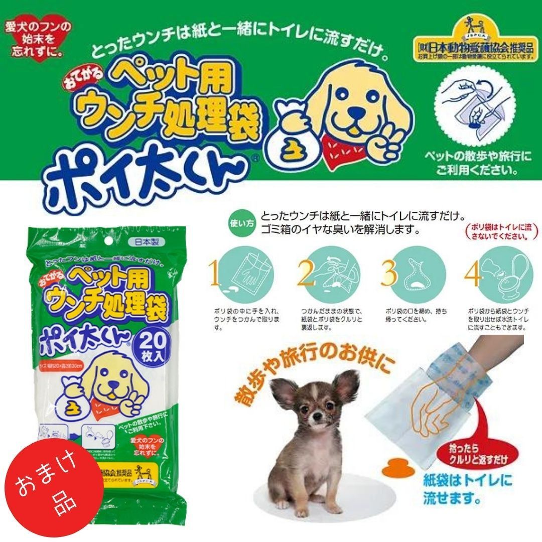 ソルビダ グレインフリー ターキー 室内飼育全年齢対応 3.6 ソルビダ グレインフリー ターキー 室内飼育全年齢対応 3.6