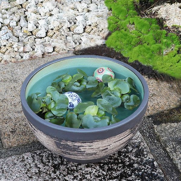信楽焼 陶器 水鉢 メダカ鉢 金魚鉢 睡蓮鉢 11号はけ目水鉢 su
