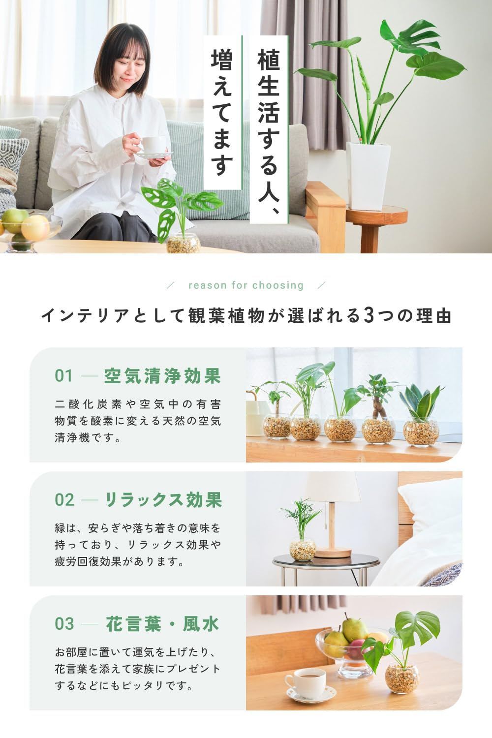サンスベリア 東京寿園