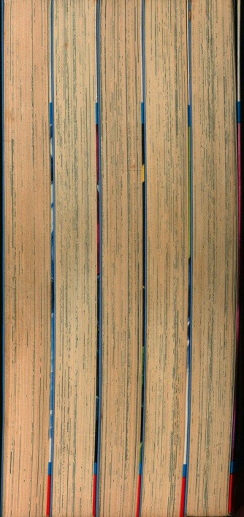 少年チャンピオンコミックス 望月あきら|日向葵