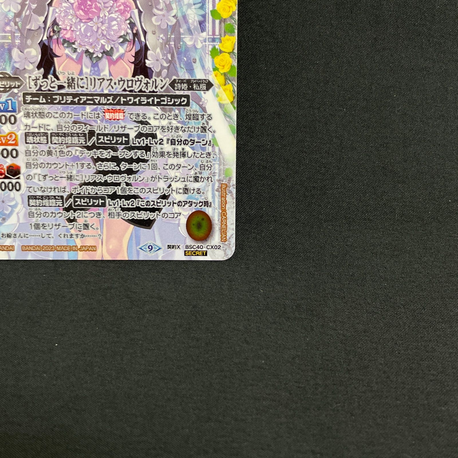 ずっと一緒に リアス・ウロヴォルン 契約X SECRET BSC40-CX02