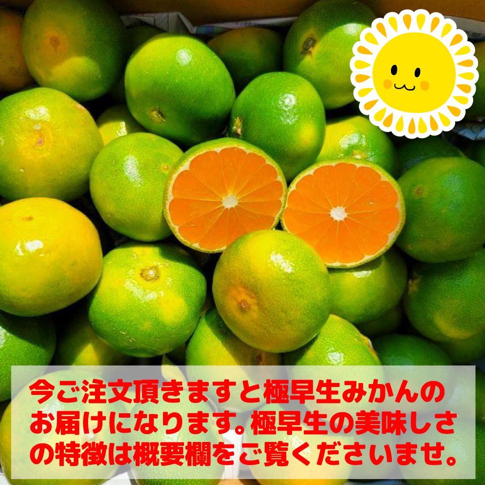 酸っぱうまい!! 愛媛県産 極早生 愛媛みかん5kg（不ぞろい・不選別）※沖縄・離島・北海道は発送不可-1