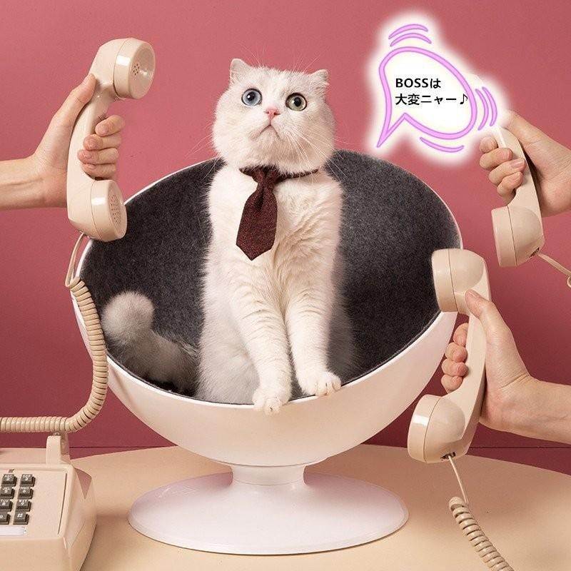 猫ベッド 猫