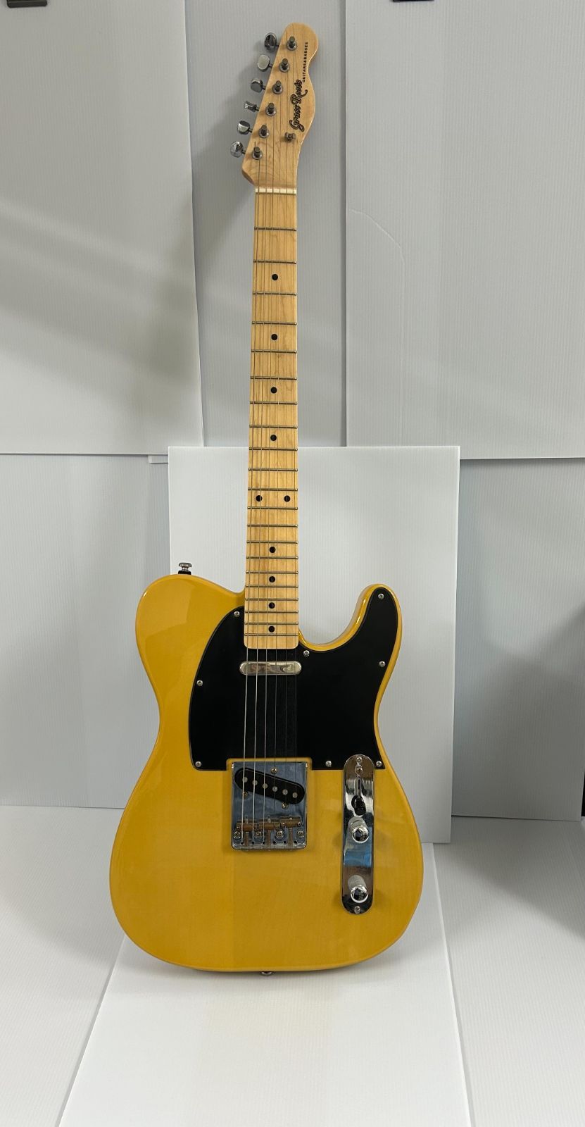 GRASS ROOTS ESP グラスルーツ テレキャスタイプ ハードケース付き  