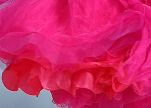 社交ダンスドレス スタンダードドレス モダンダンス 薔薇 オーダーメイド オーダーメイド 社交ダンス衣装 羽根 薔薇 モダンダンス