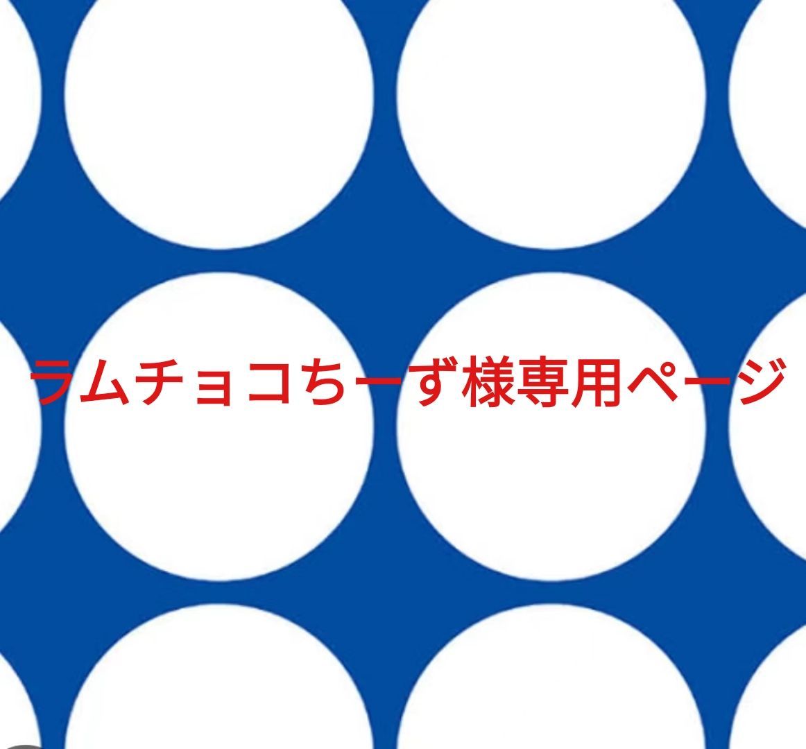チズ様 専用ページ チーズ様専用ページ①