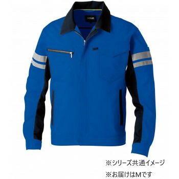 Iphone 11promax silver sim フリ