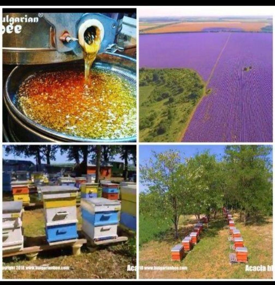 350g生オーガニックリンデン巣蜜、450g生オーガニックラベンダーハニー 350g巣蜜リンデン蜂の巣生オーガニックコム、生生オーガニック