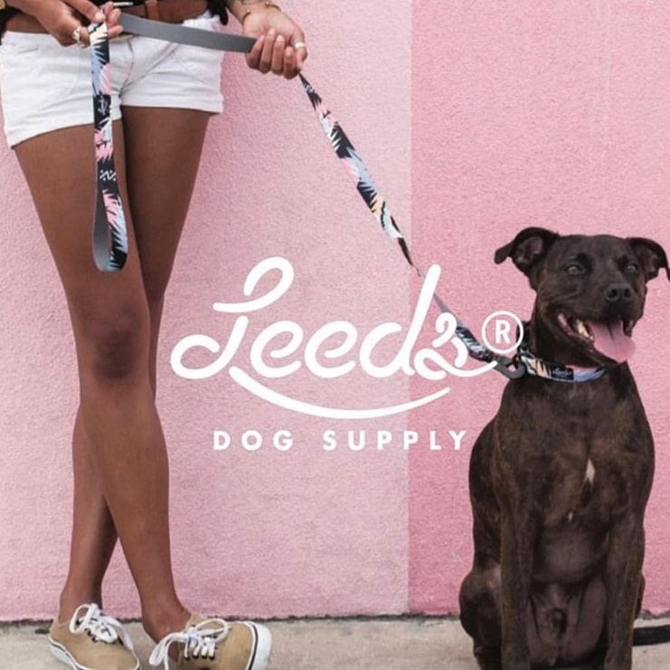 首輪 犬用 Leeds Dog Supply リーズドッグサプライ BODHI COLLAR Mサイズ