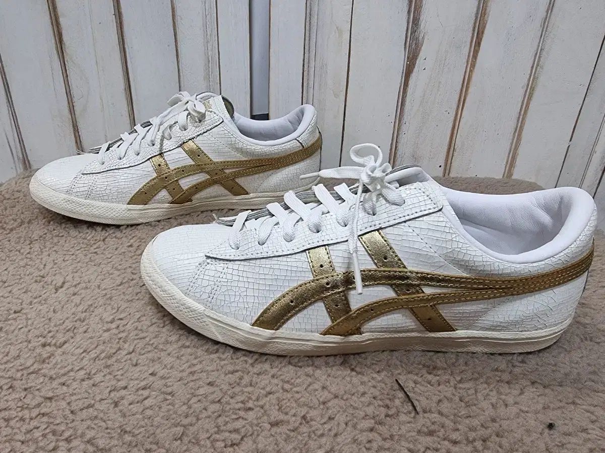 楽天市場】レイカーズ パンツ（バスケットボール｜スポーツ