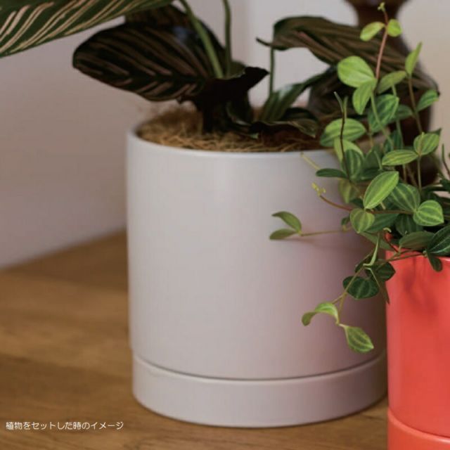 花 観葉植物用ポット オーセ 15 H Ceramic POT 4個入り 19026 底穴あり 受皿付き 代引き不可 小型ポット プランター FARM p75 STEELWINDOWSANDDOORS_COM