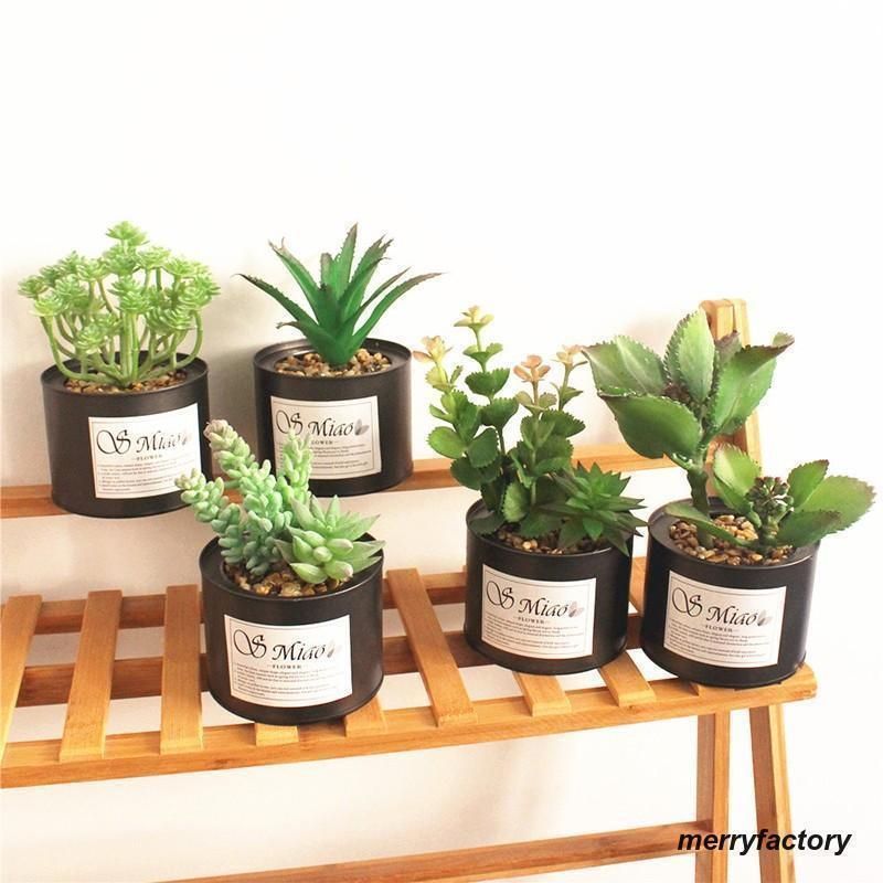 Dr.STONE ゼノ スタンリー レイニーデイ 缶バッジ アクキー 色紙