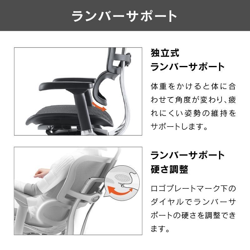 公式販売店 エルゴヒューマン2